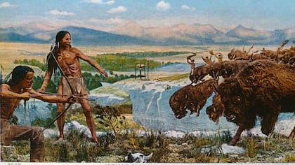 Los nativos americanos consumían la carne del bisonte, y luego se secaba para el invierno; la piel se utilizaba para la cubierta y para la ropa