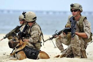 Los Navy Seals se reconvierten a 10 años de la épica captura de Ben Laden