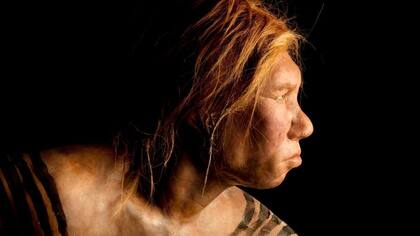 Los neandertales desaparecieron hace 40.000 años.