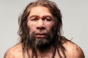 El hallazgo que relaciona un gen de los  neandertales con las personas madrugadoras