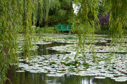 Los nenúfares son una serie de unas 250 pinturas en las que se aprecian las variaciones cromáticas del estanque que el pintor construyó y llenó de acuáticas.