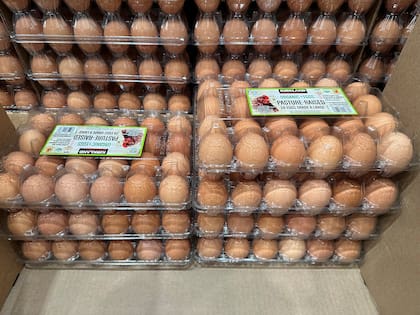 Archivo.- Carteras de huevo en exhibición en una tienda de la cadena mayorista Costco, el martes 18 de febrero de 2025