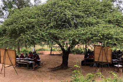 Los niños en una escuela rural de Kangundo tienen clases abajo de un árbol porque las clases no están habilitadas por las condiciones de seguridad
