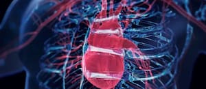 Colesterol alto: en qué consiste el nuevo valor que fue descubierto en un estudio reciente, según un especialista