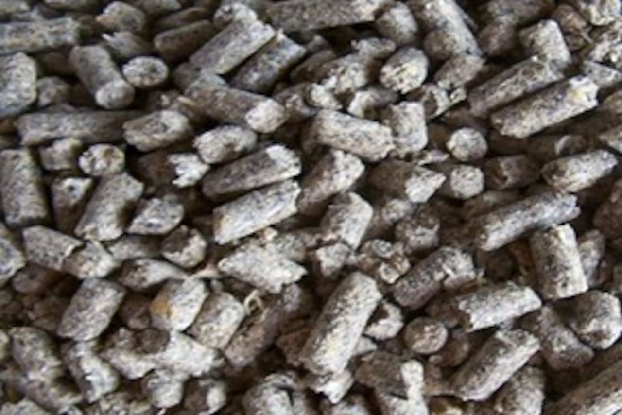 Pellets de raicilla de cebada en un contenedor, subproducto de malterías