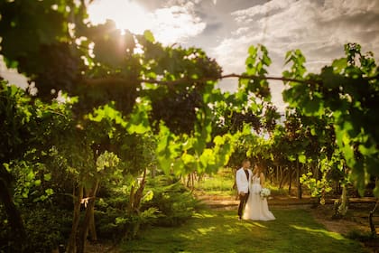 Los norteamericanos Justin y Kate, durante una sesión de fotos en los viñedos de Cavas Wine Lodge
