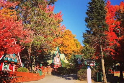 Los nuevos dueños planean incluir el parque en el Registro Nacional de Lugares Históricos y convertirlo en una organización sin fines de lucro