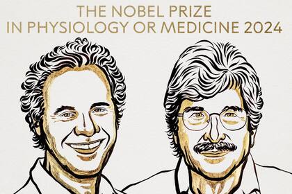 Los nuevos Premio Nobel en Medicina