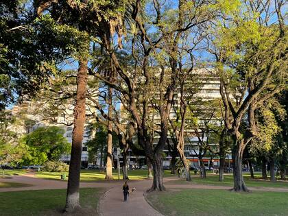 Los nuevos proyectos en la zona de Plaza Alemania son una oportunidad única porque conseguir terrenos para construir es casi una misión imposible