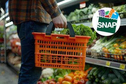 Los nuevos requisitos del SNAP comenzarán a aplicarse en Nueva York a partir del 2 de noviembre de 2025 (Archivo-Pixabay/SNAP)