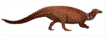 Los nuevos restos aportan nueva evidencia sobre la fauna del Cretácico Temprano en la Patagonia.