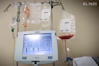 Inmunidad y resiliencia: lo que la pandemia nos depara