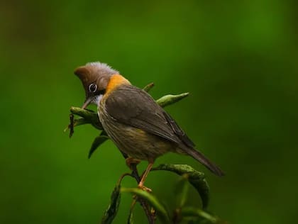 Los nuevos visitantes podrán descubrir las poco conocidas bellezas del Bután meridional