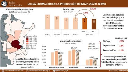 Los números de la cadena de la soja por la sequía: tendrá una merma de US$5000 millones en las exportaciones