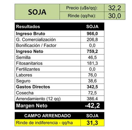 Los números de la soja, según un productor