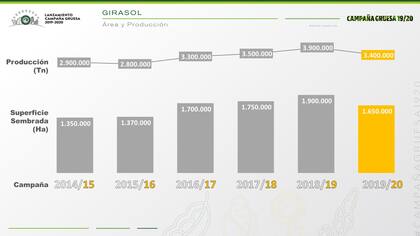 Los números para el girasol