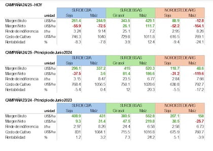 Los números para la campaña agrícola 2024/2025, la comparación con lo que se esperaba en junio pasado y en junio de 2023