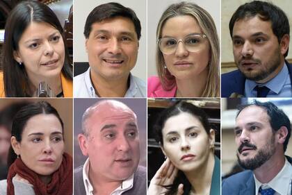 Los ocho libertarios que se ausentaron en la sesión de ficha limpia: Emilia Orozco, Pablo Ansaloni, Carolina Piparo, Álvaro Martínez, Lorena Maczsyn, José Peluc, Marcela Pagano y Santiago Santurio