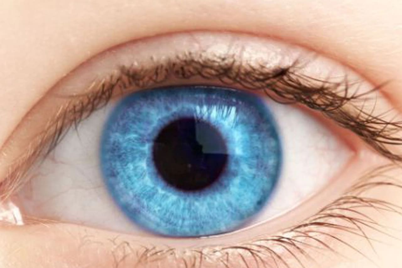 los-ojos-azules-un-motivo-de-investigaciones-de-C25QI42J2RBHVIF3SSYESPZZVA