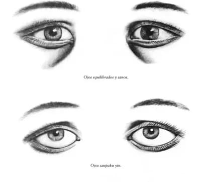 Los ojos cuyo borde del iris es blanco, entran dentro de la clasificación