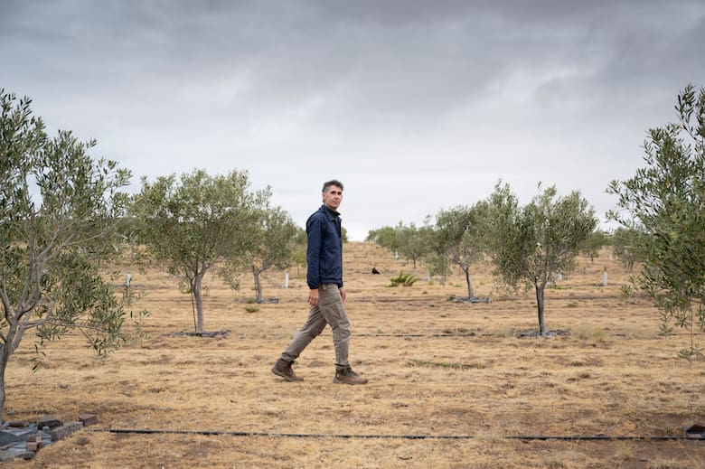 De estancia tradicional a negocio rural: el modelo que crece