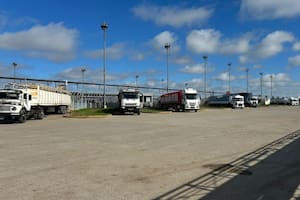 Comienzo de semana con bajas en el Mercado Agroganadero de Cañuelas