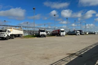 Comienzo de semana con bajas en el Mercado Agroganadero de Cañuelas
