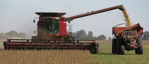 Con precios más favorables, la soja apunta a una gran cosecha y a un fuerte aporte de divisas