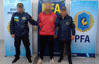 Los operativos fueron coordinados por la DFI y la PFA