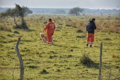Los operativos involucran a varias fuerzas nacionales y provinciales.