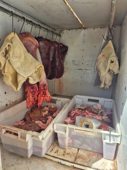 Los operativos se intensificaron