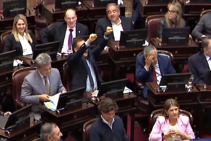 Los opositores, contrariados