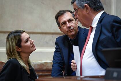 Los opositores Losada, Naidenoff y De Angelis en el Senado