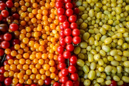 Los organizadores también invitan a plantar semillas de variedades ancestrales en el propio hogar