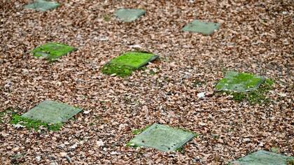 Los pacientes fueron enterrados en cementerios cercanos a los hospitales donde estuvieron internados y sus tumbas marcadas con pequeñas lozas