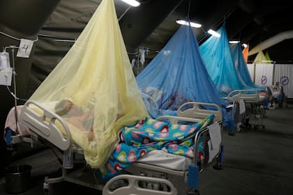 Los pacientes que padecen dengue yacen en camas ubicadas en tiendas de campaña provisionales en el Ministerio de Salud en Piura, Perú
(AP Foto/Martín Mejía)