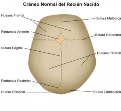 Los padres de la mujer habrían clavado la aguja por la fontanela con la intención de matarla