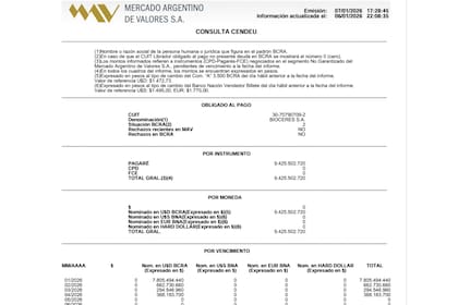 Los pagarés de Bioceres SA