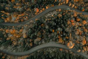 Los paisajes boscosos cambian sus colores a tonos cálidos por la menor duración de luz solar y bajas temperaturas