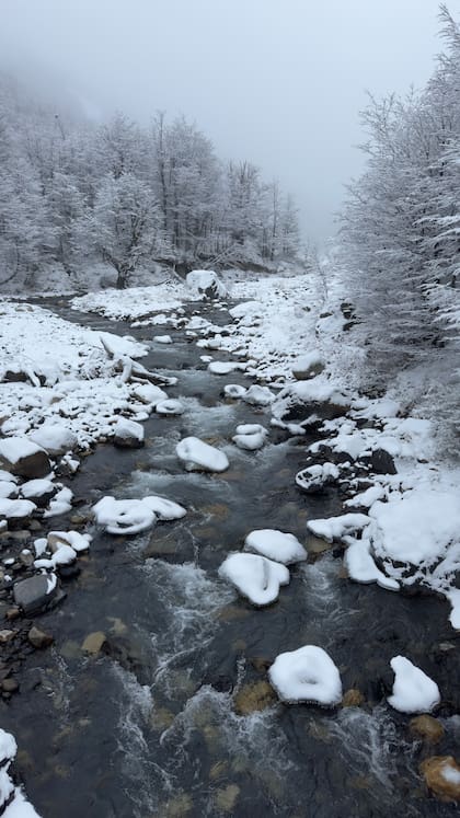 Los paisajes nevados del Paine parecen tomas en blanco y negro