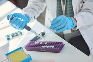 La necesidad de capacidades estatales en la política productiva