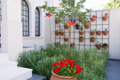 Los pájaros de vidrio van volando entre maceta y macetas y el cantero de salvias.
La cuadricula de hierro con macetas colgantes de terracota viste a la medianera.
El rojo de los malvones en la maceta color terracota se conecta con los tonos de los pájaros y es el color que tensiona.