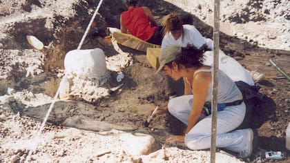 Los paleontólogos en pleno trabajo