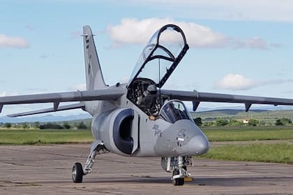 Los Pampas que se entregan hoy aumentaron componentes locales y redujeron costos