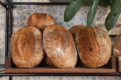Los panes de masa madre que se elaboran en el propio local.