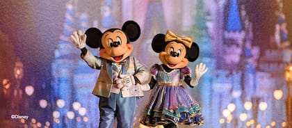 Los parques de Disney World no tienen temporadas bajas establecidas durante el año