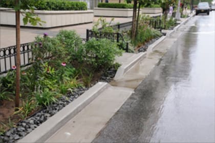 Los participantes de GROW, anunciado por Zohran Mamdani en Nueva York, se encargarán en esta ocasión de mantener los jardines de lluvia