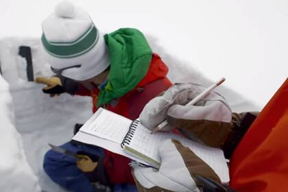 Los participantes serán parte de un proyecto de investigación sobre la injerencia de los microplásticos en el continente austral