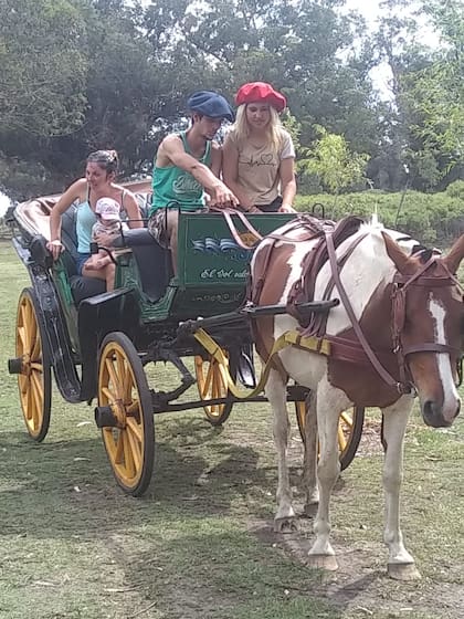 Los paseos en carruajes son un opción más relajada para realizar en familia, sobre todo si hay niños pequeños