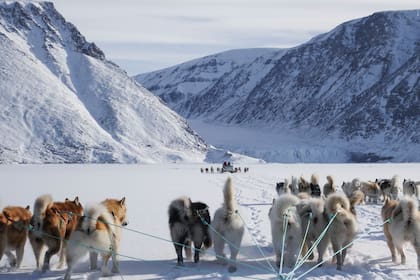 Los paseos en trineo tirados por perro son una de las actividades favoritas de los turistas en Groenlandia.